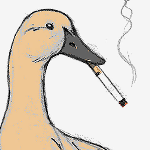 Duck smoking a cigerette